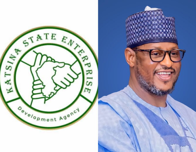 MSMEs Are Driving Katsina’s Economic Growth, Says Governor Radda
